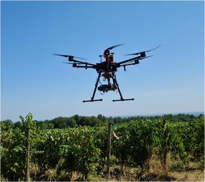 Assessing Grapevine Biophysical Parameters From Unmanned Aerial Vehicles Hyperspectral Imagery